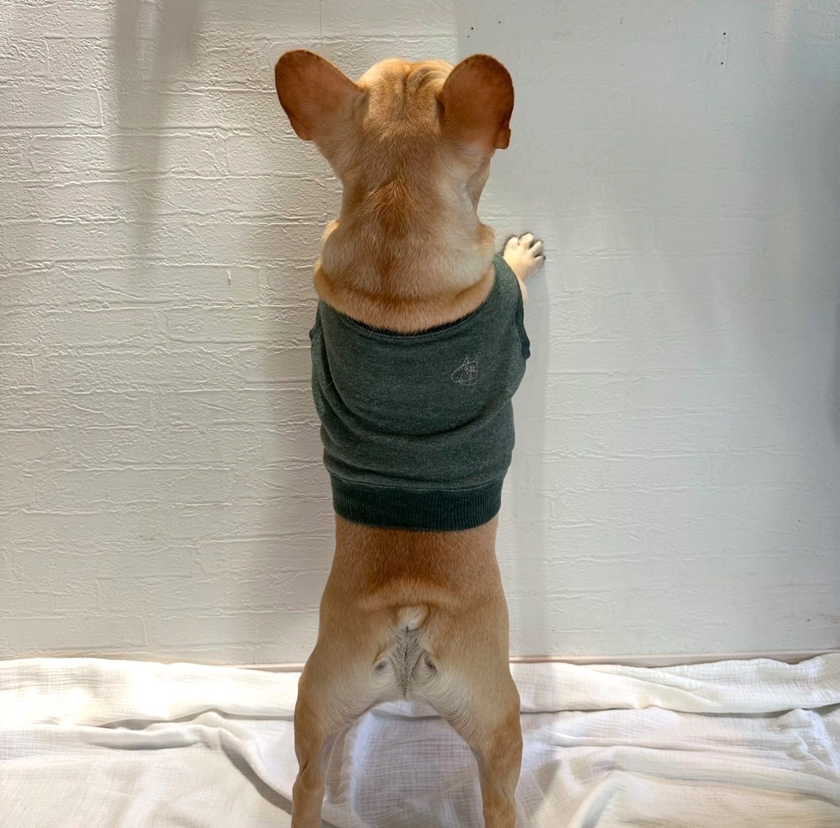 明日は一緒にどこ行く?クロップドスウェット【メランジ・モスグリーン】