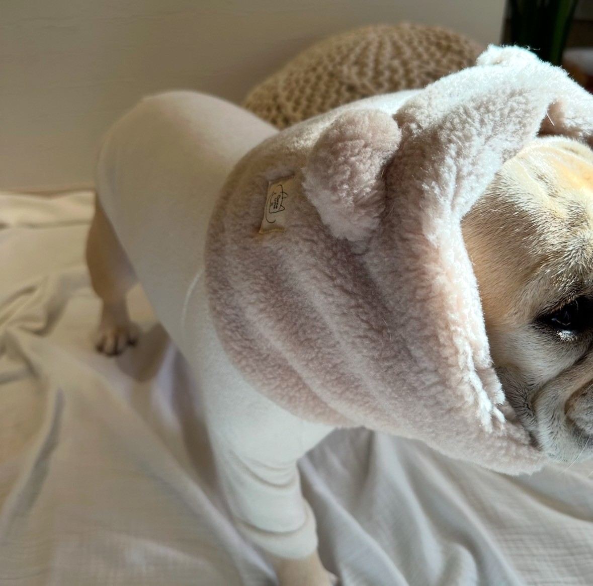 キミはボクの宝物スヌード Ivory