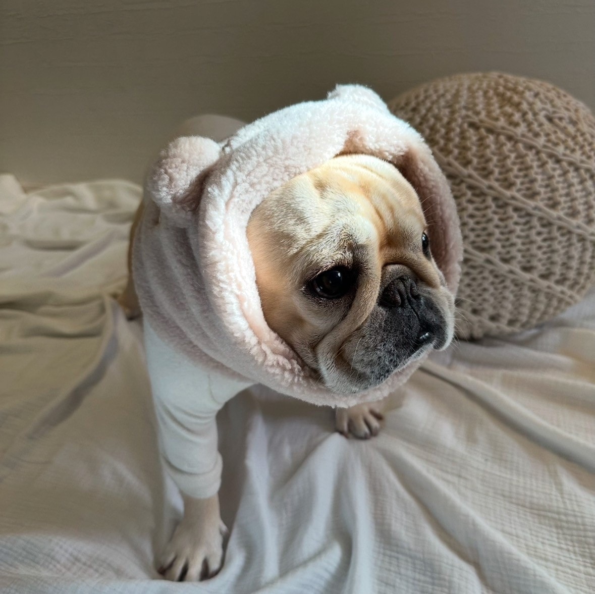 キミはボクの宝物スヌード Ivory