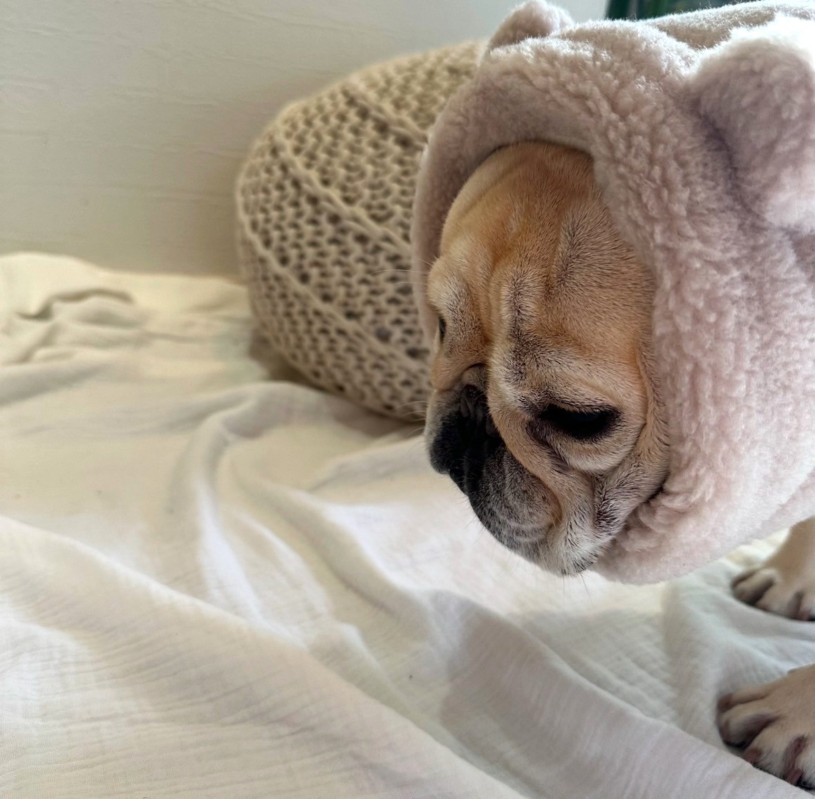 キミはボクの宝物スヌード Ivory