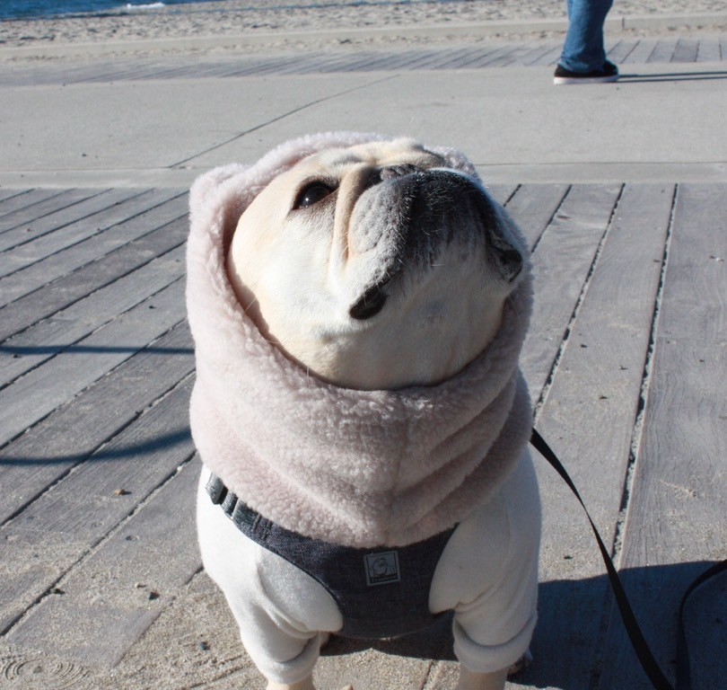 キミはボクの宝物スヌード Ivory