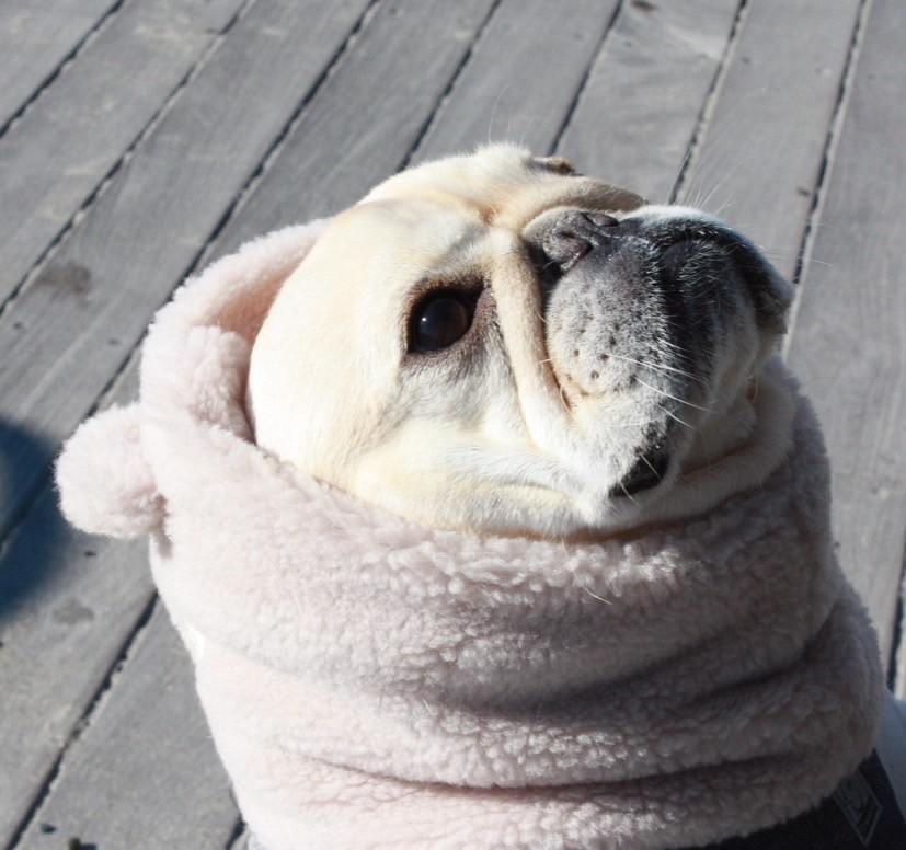 キミはボクの宝物スヌード Ivory