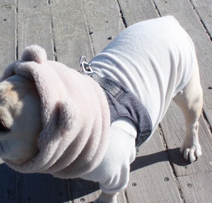 キミはボクの宝物スヌード Ivory