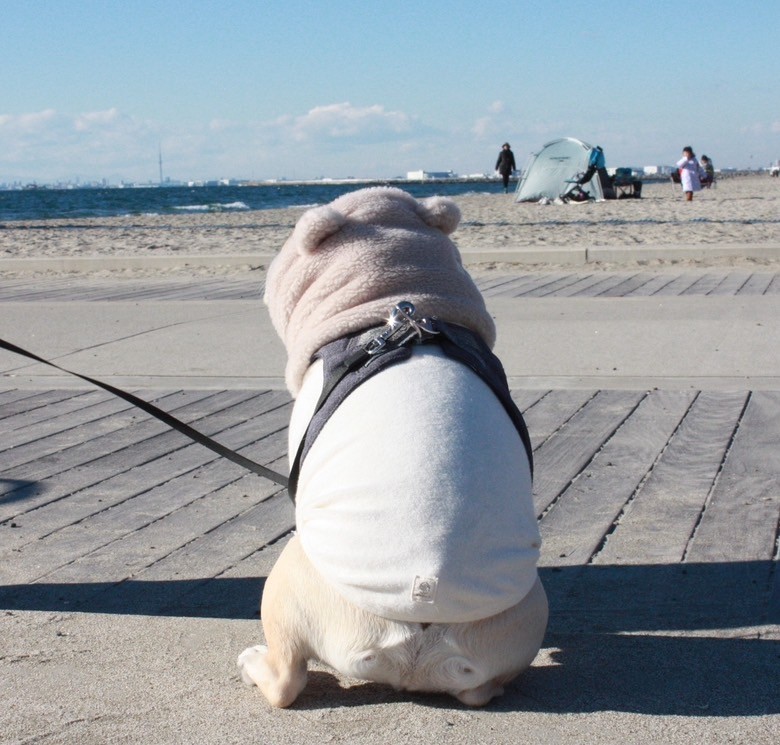 キミはボクの宝物スヌード Ivory