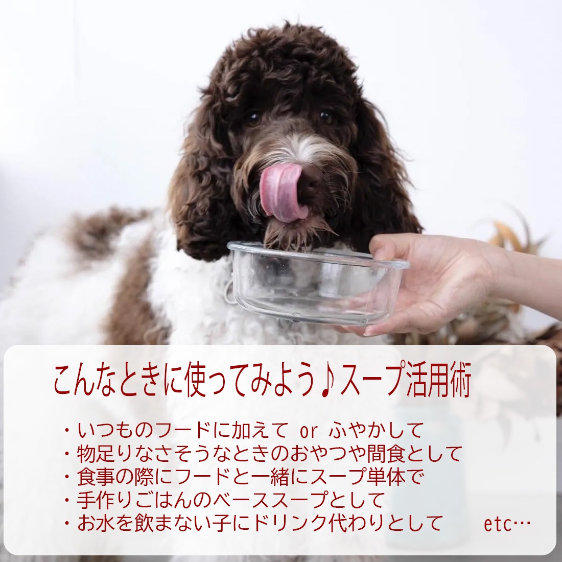 水分補給デトックススープ〈Purple〉