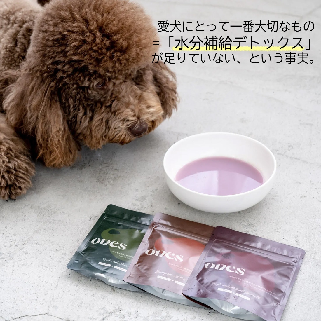水分補給デトックススープ〈Purple〉