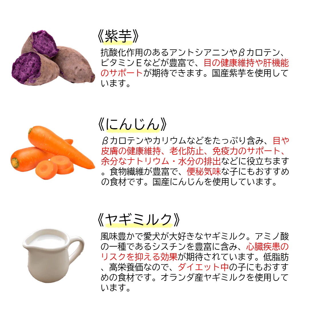 水分補給デトックススープ〈Purple〉