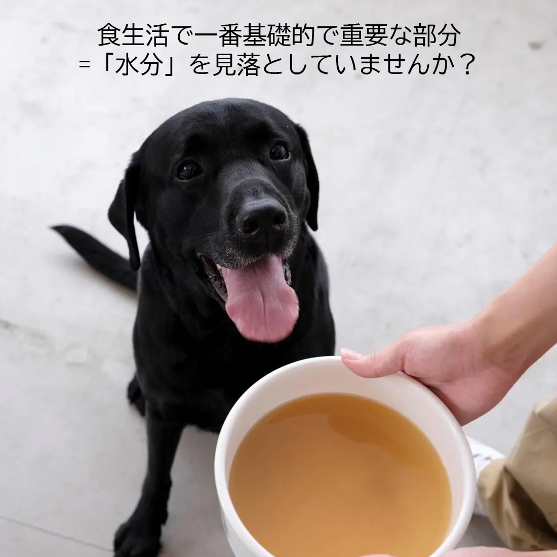 水分補給デトックススープ〈Green〉