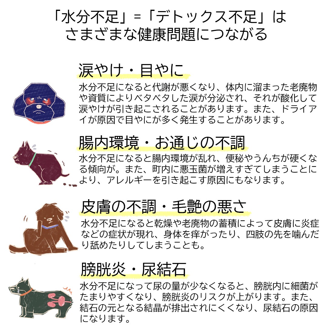 水分補給デトックススープ〈Green〉