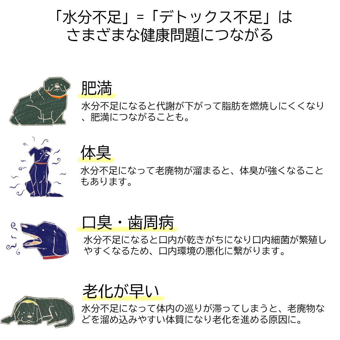 水分補給デトックススープ〈Green〉