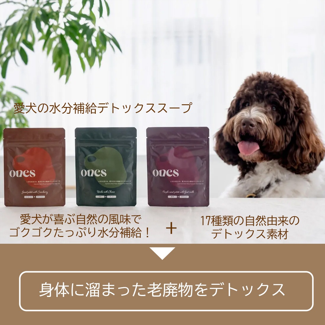 水分補給デトックススープ〈Green〉