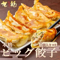 【TV紹介】年間20万個突破!信州米豚ビッグ餃子 25個入(5個×5パック・計1kg)