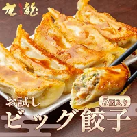 【TV紹介】年間20万個突破!信州米豚ビッグ餃子 5個入(ジャンボ40g)