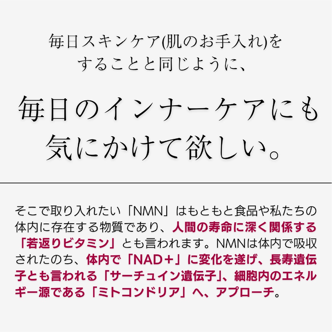 メゾンエイト ボタニカルNMN 30000 - エナジー&ブースト -