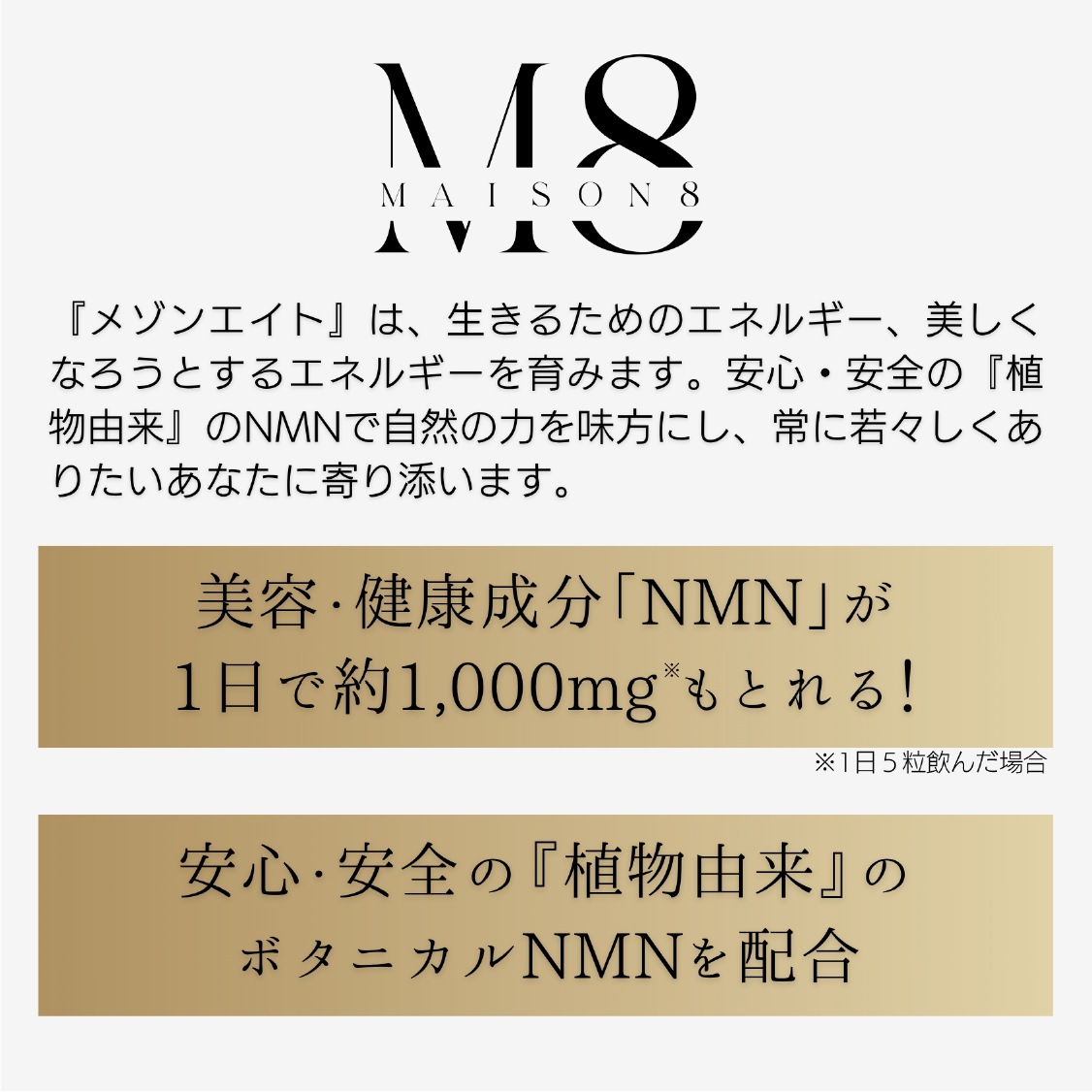 メゾンエイト ボタニカルNMN 30000 ザ ペアセット