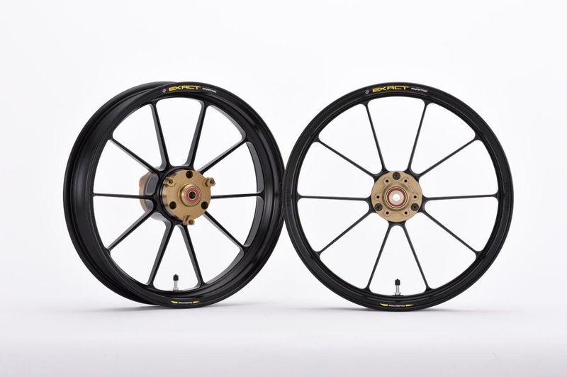 ADVANTAGE EXACT RACING 10 フル鍛造マグネシウムホイール