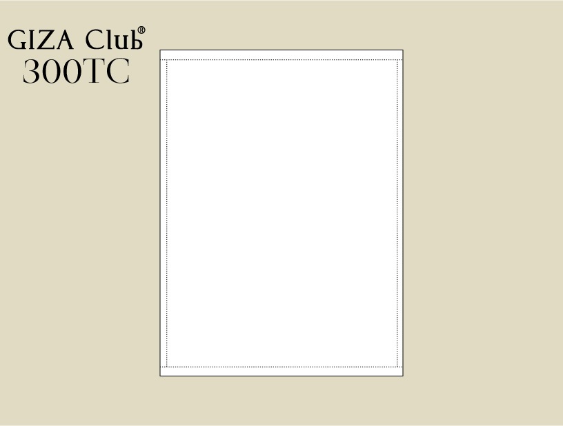 �������ʥ����ġ�ĶĹ��100%��GIZA Club300 �ե�åȥ�������