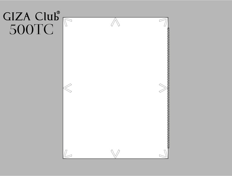 �����ץ�ĶĹ��100%�ǥ�٥��С� GIZA Club500