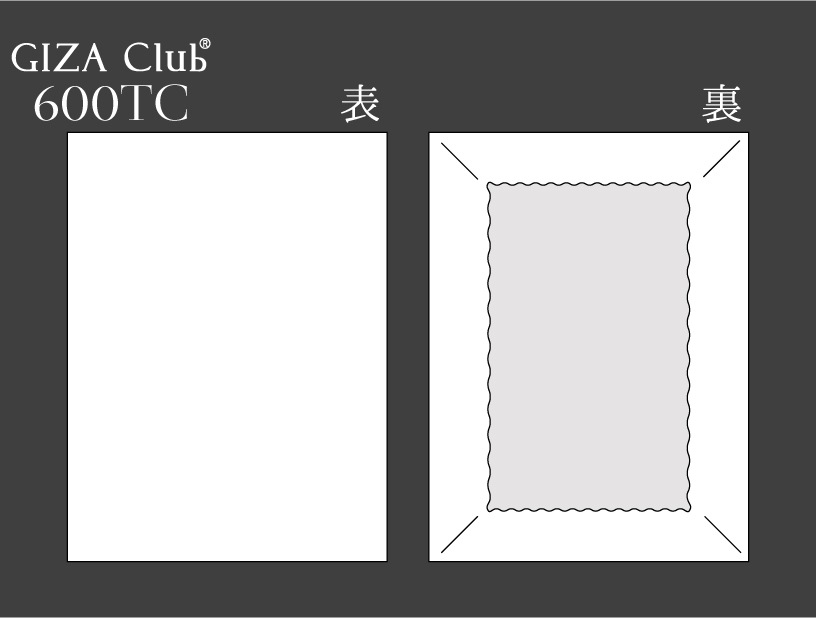 GIZA Club600 �����ץ��ʥ�����(ĶĹ��100��˥ե��åȥ�������