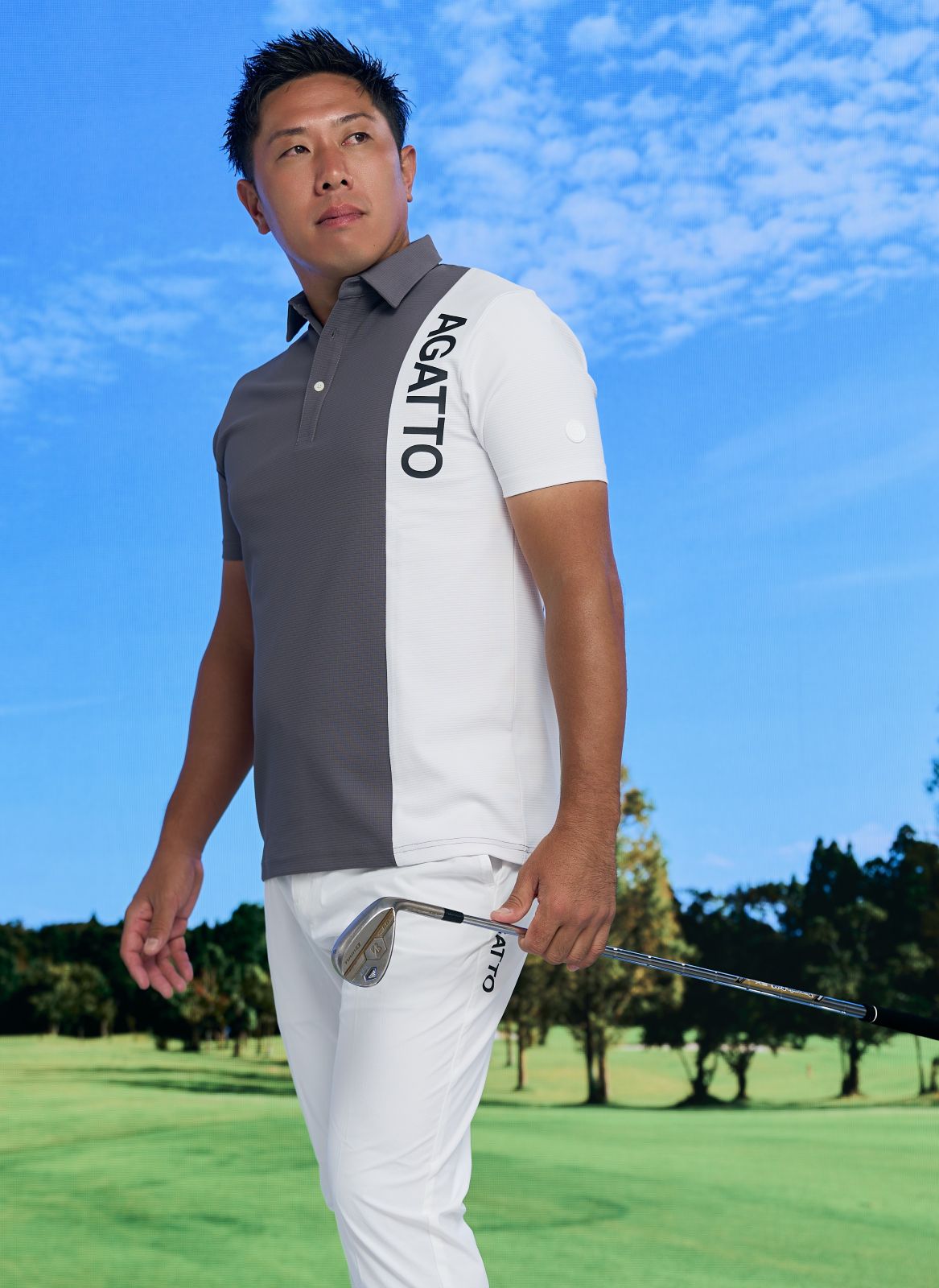 Split Panel POLO GLAY