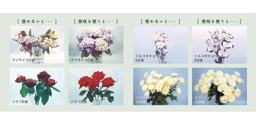 【セット】切り花ながもち液 美咲(320ml)×3本セット