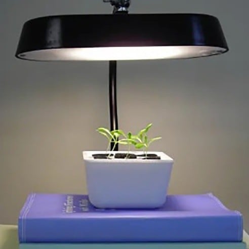 水耕栽培も楽しめるLEDデスクライト