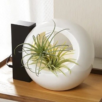 ライト付きフラワーベース