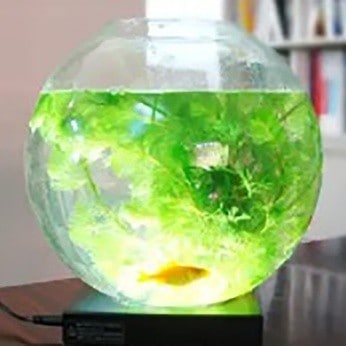 ライトアップベース照明