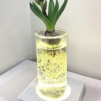 ライトアップベース照明