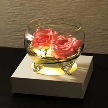 ライトアップベース照明