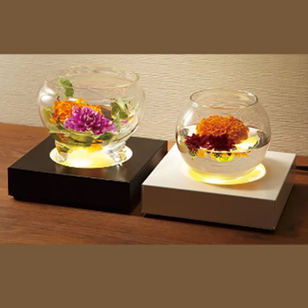 ライトアップベース照明