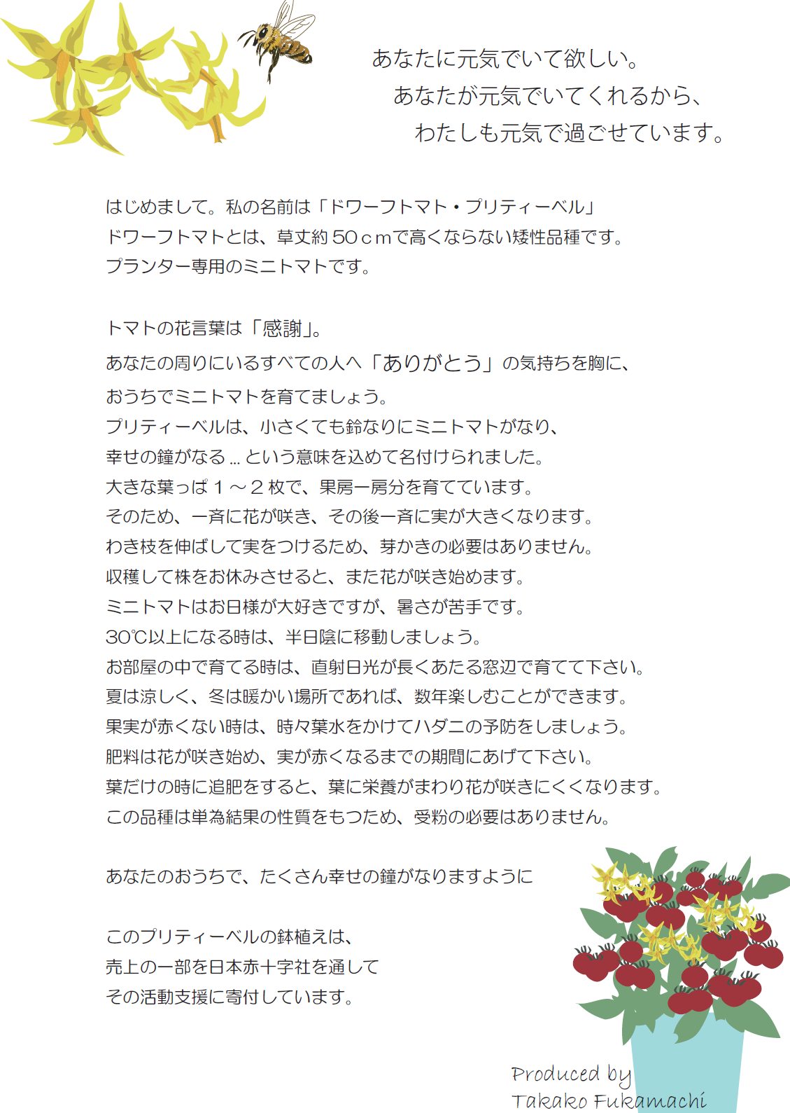 【別送】《母の日ギフト》「実つきドワーフトマト・プリティーベル」5号鉢植え/送料込み【液肥付き】