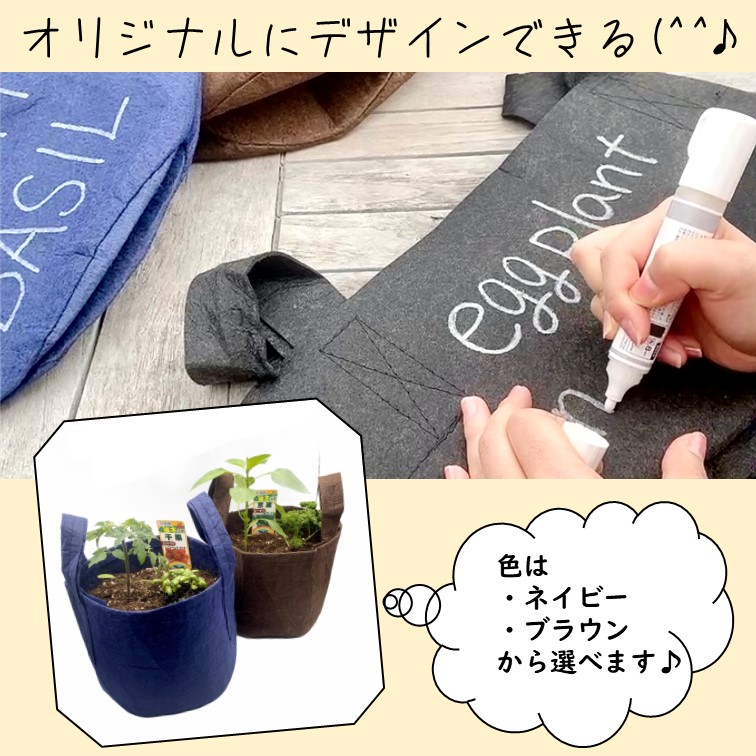 【別送】春の家庭菜園セット　シングル【送料無料】