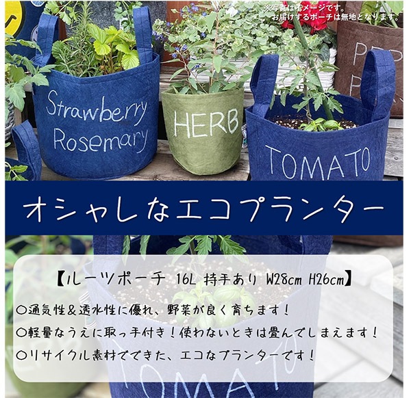 【別送】春の家庭菜園セット　シングル【送料無料】