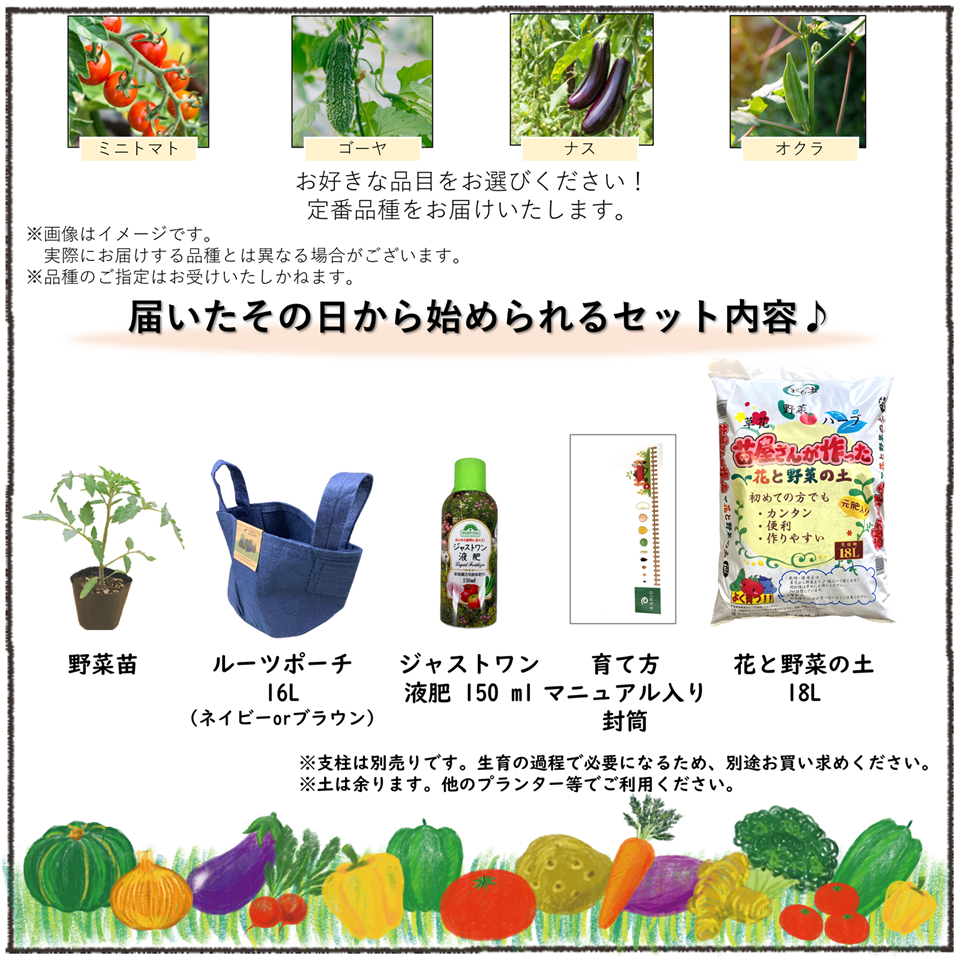 【別送】春の家庭菜園セット　シングル【送料無料】