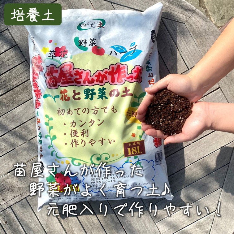 【別送】春の家庭菜園セット　シングル【送料無料】