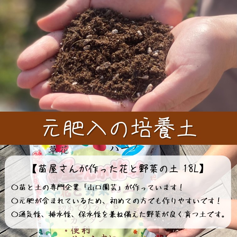 【別送】春の家庭菜園セット　シングル【送料無料】