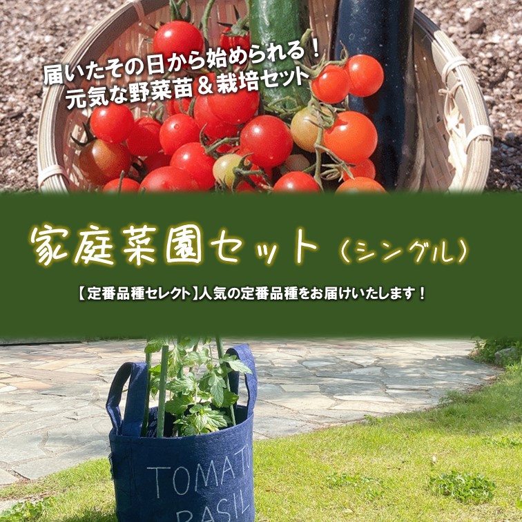 【別送】春の家庭菜園セット　シングル【送料無料】