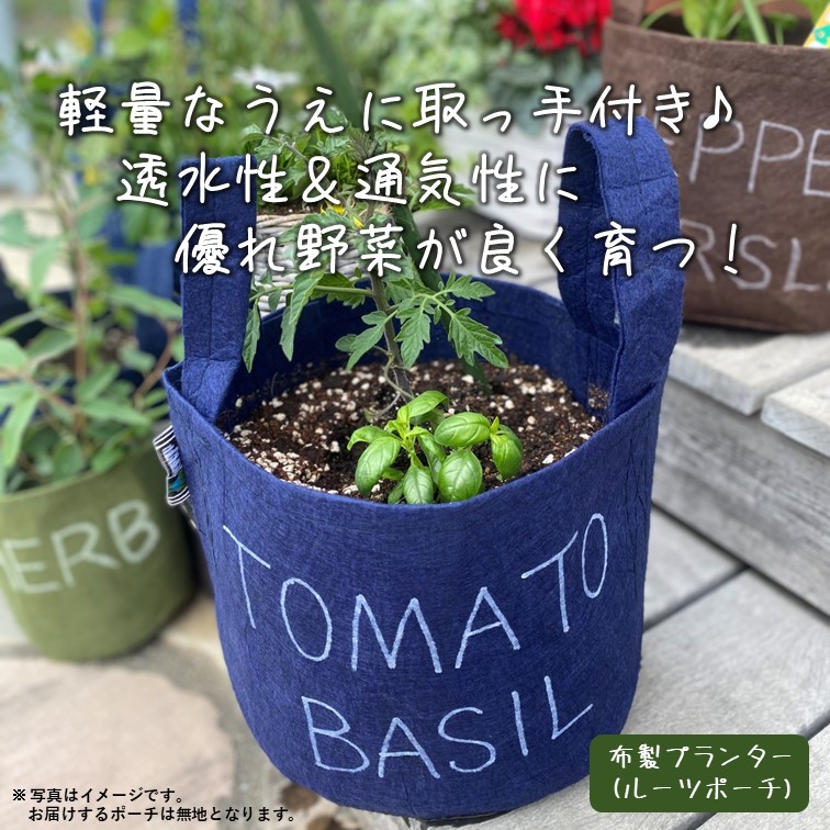 【別送】春の家庭菜園セット　シングル【送料無料】