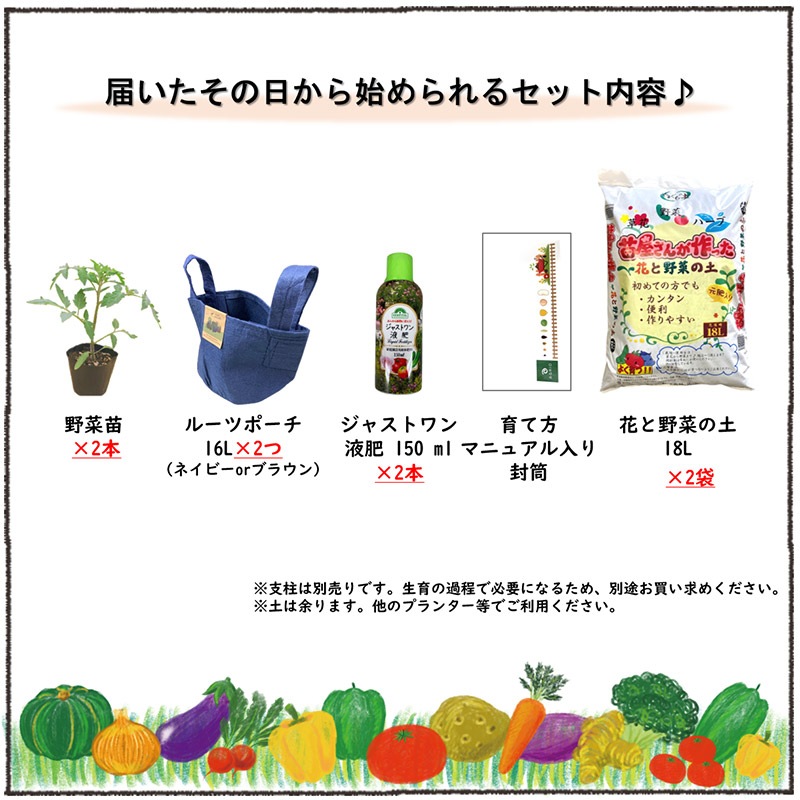 【別送】春の家庭菜園セット　お得なダブル【送料無料】
