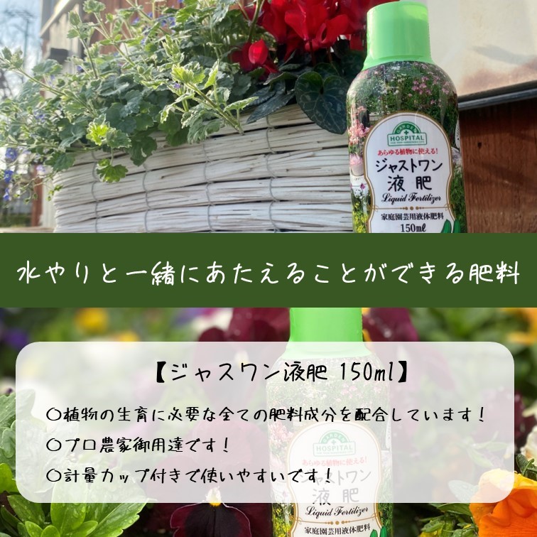 【別送】春の家庭菜園セット　お得なダブル【送料無料】