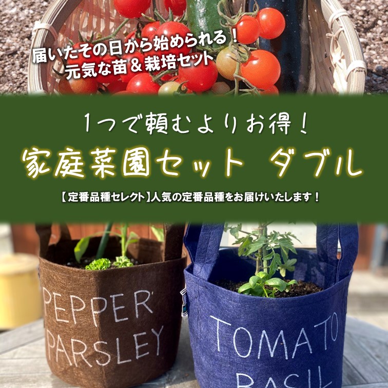【別送】春の家庭菜園セット　お得なダブル【送料無料】