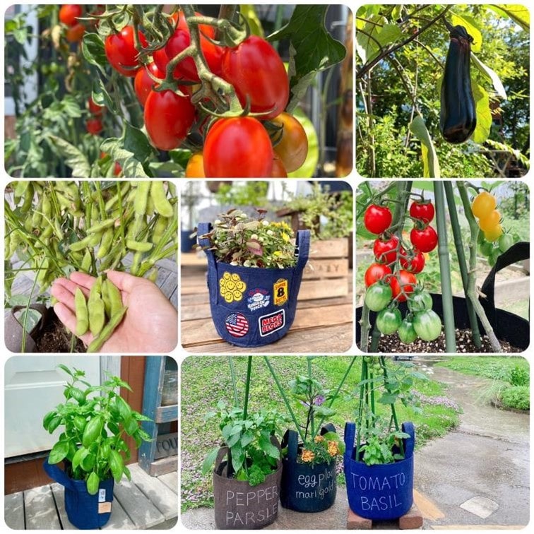 【別送】春の家庭菜園セット　お得なダブル【送料無料】