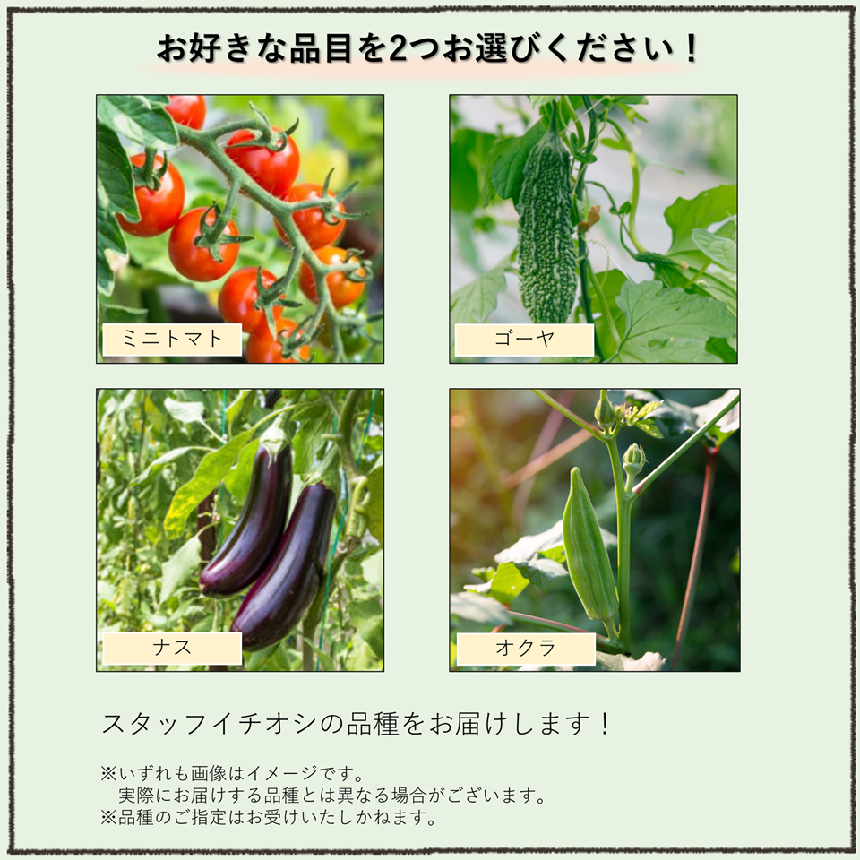 【別送】春の家庭菜園セット　お得なダブル【送料無料】