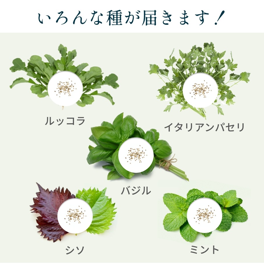 【サブスク】LED水耕栽培器　灯菜15 Akarina15 （数量限定80台）