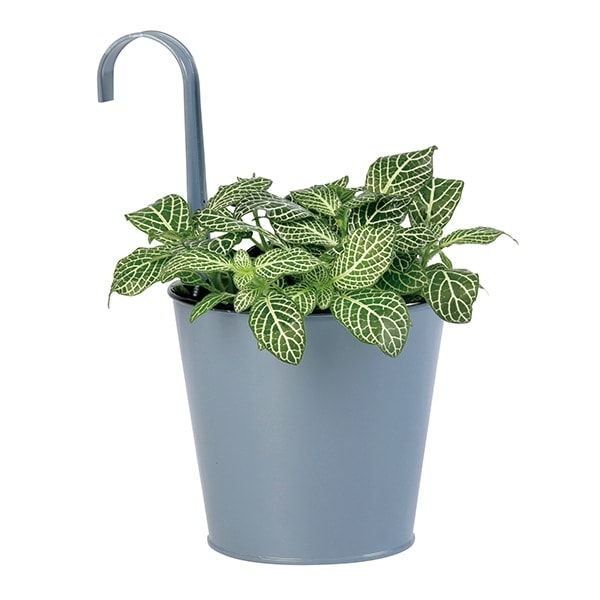 VINプランツバケツ13