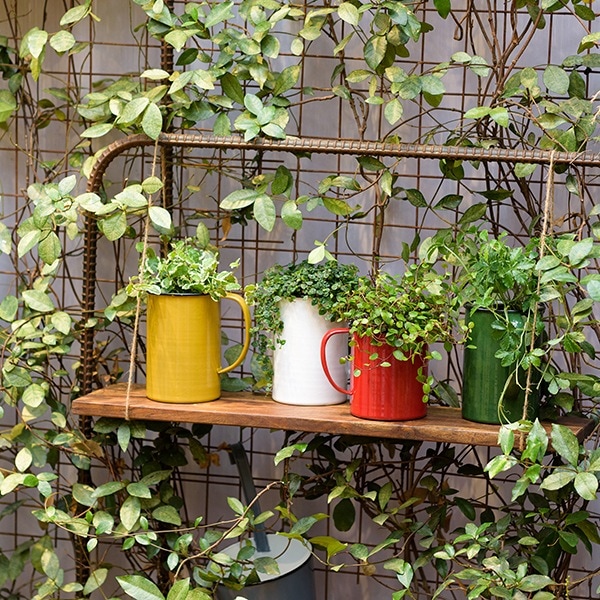 VINプランツバケツ13