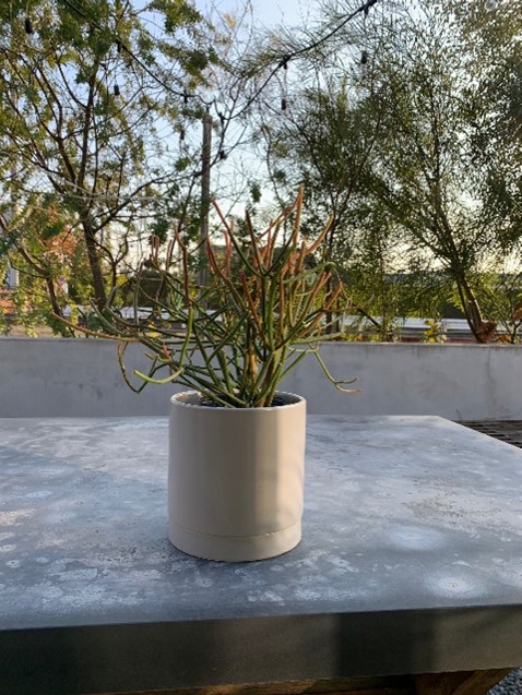 植物　植木鉢　鉢カバー　プランター　塊根植物　観葉植物 プランターカバー ウッドプランター ボックス カバー Lサイズ 9号鉢 W