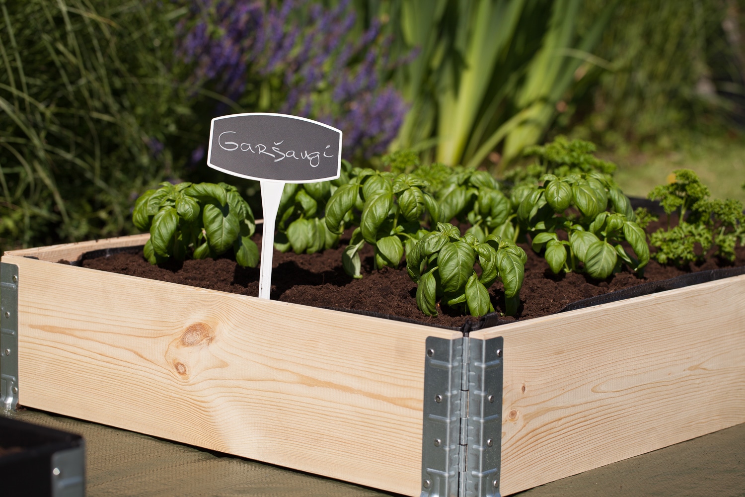 ☘️aiiKEN72*Garden☘️AG202507 Enchanted Garden at T2 Transit area of Changi airport