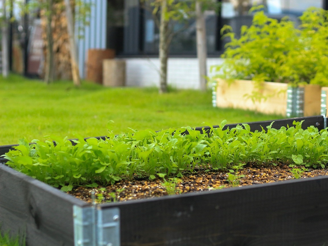 ☘️aiiKEN72*Garden☘️AG202507 ☘️aiiKEN72*Garden☘️AG202507